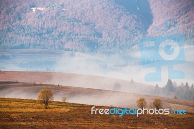 Morning Fog In Mountain Valley. Misty Hills Stock Photo