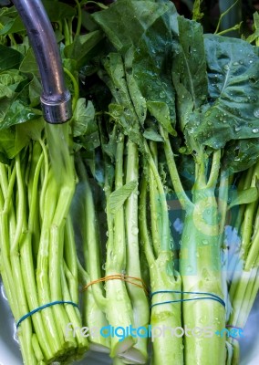 Morning Glory And Chinese Kale Wash In Water Stock Photo