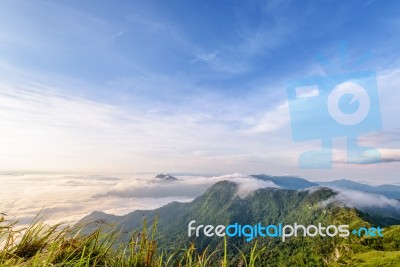 Morning In Phu Chi Fa Forest Park Stock Photo