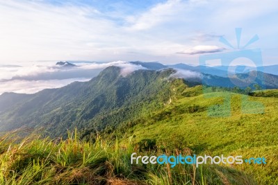 Morning In Phu Chi Fa Forest Park Stock Photo