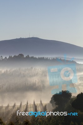 Morning Mist Stock Photo