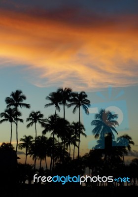 Morning On Tropical Beach With Palms Stock Photo