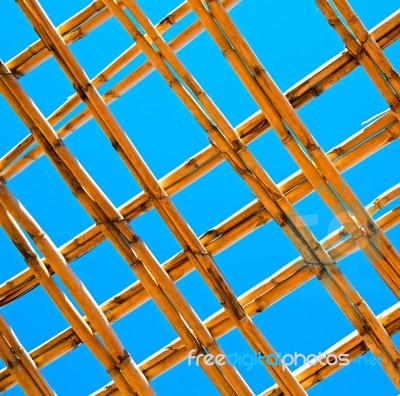 Morocco Abstract Bamboo Roof In The  Africa  Sky Stock Photo