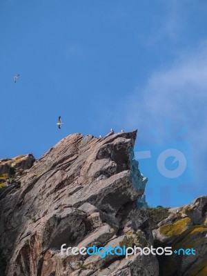 Morro Rock Bay Stock Photo