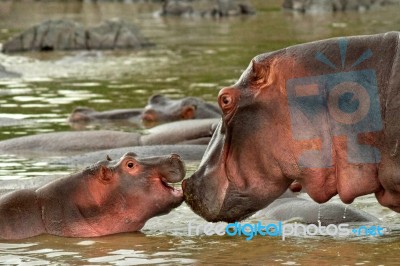 Mother And Child Moment Stock Photo