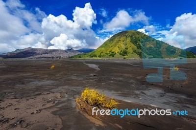 Mount Bromo Volcano (gunung Bromo)in Bromo Tengger Semeru National Park, East Java, Indonesia Stock Photo