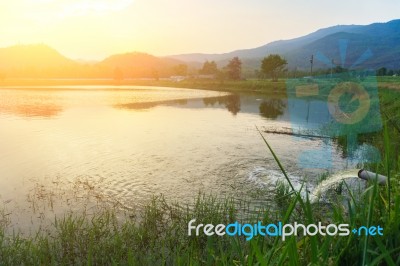 Mount Warning River Sugar Cane And Sun Stock Photo