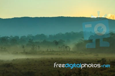 Mountain And Mist Stock Photo