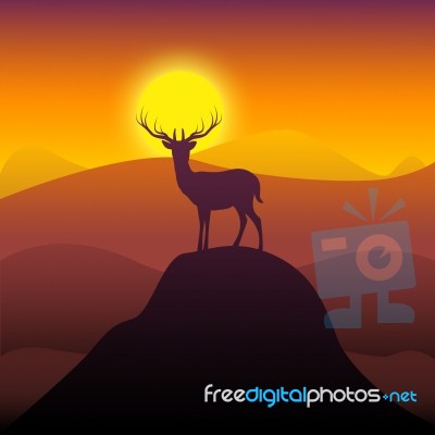 Mountain Deer Represents Wilderness Buck And Hunting Stock Image