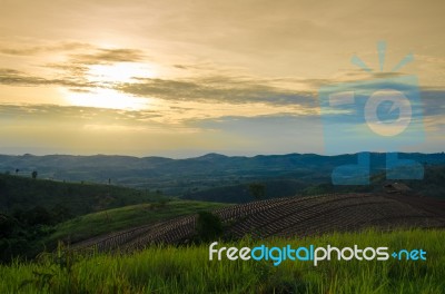 
Mountain Farm Tractors For Planting Crops. And Partially Covere… Stock Photo