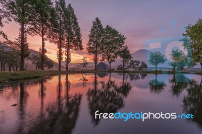 Mountain Fuji During Sunrise With Small Lake At Fumoto Para Camping Ground Stock Photo