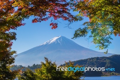 Mountain Fuji With Morning Light And Red Maples Leaves Tunnel Stock Photo