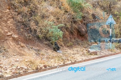 Mountain Landscape In Ethiopia Stock Photo