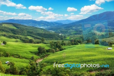 Mountain Valley During Sunrise. Natural Summer Landscape Stock Photo