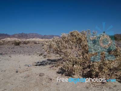 Mountains, Dry Tree And Desert Landscape Stock Photo