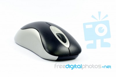 Mouse Stock Photo