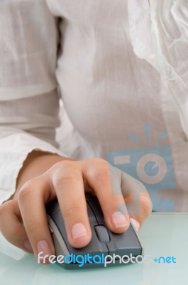 Mouse In Female's Hand Stock Photo