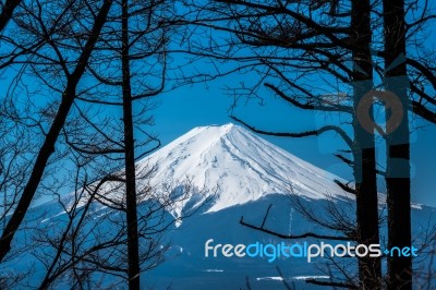 Mt. Fuji In Autumn At Kawaguchiko Lake Snow Landscape,mt. Fuji Is Famous Japan Mountain,tourist People Call Mt. Fuji As Fuji, Fujisan, Fujiyama, Fuji-san,japan Stock Photo