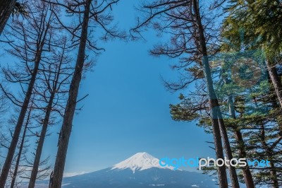 Mt. Fuji In Autumn At Kawaguchiko Lake Snow Landscape,mt. Fuji Is Famous Japan Mountain,tourist People Call Mt. Fuji As Fuji, Fujisan, Fujiyama, Fuji-san,japan Stock Photo