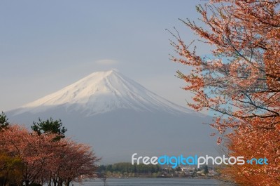 Mt. Fuji, Japan Stock Photo