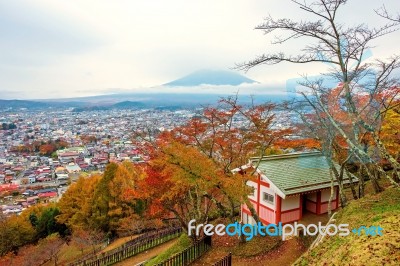 Mt. Fuji View From Chureito Peak At Autumn Stock Photo