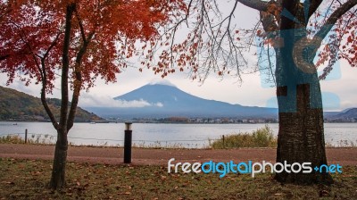 Mt.fuji With Red Leaves In Kawaguchiko Stock Photo