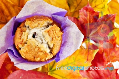 Muffin Stock Photo