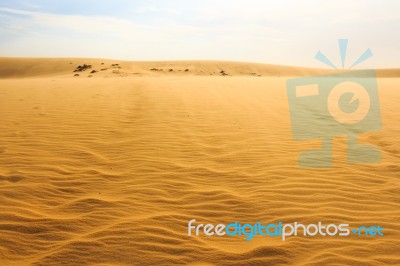 Mui Ne Sand Dune Stock Photo