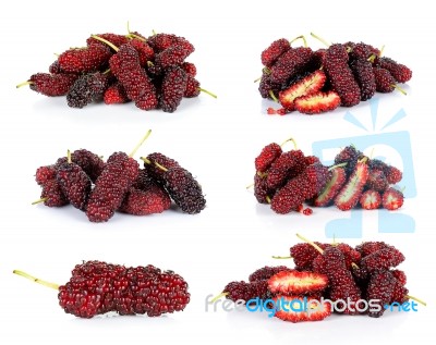 Mulberry Isolated On The White Background Stock Photo