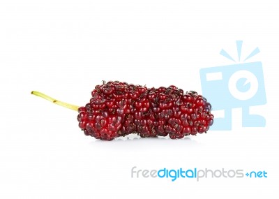 Mulberry Isolated On The White Background Stock Photo