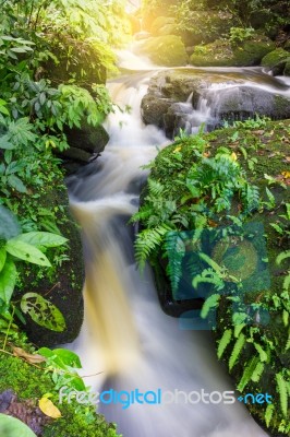 Mun Dang Waterfall In Deep Forest Fresh Green Rain Season In Tha… Stock Photo