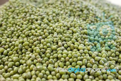 Mung Bean Stock Photo