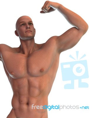 Muscular Male Model Stock Image