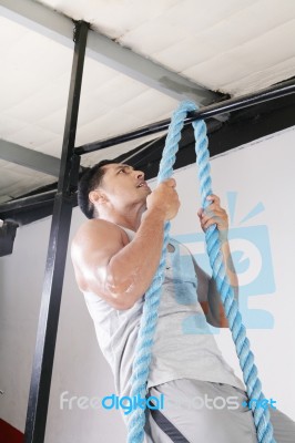 Muscular Young Male In Gym Stock Photo