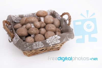 Mushroom Basket Mushrooms On A White Background Stock Photo