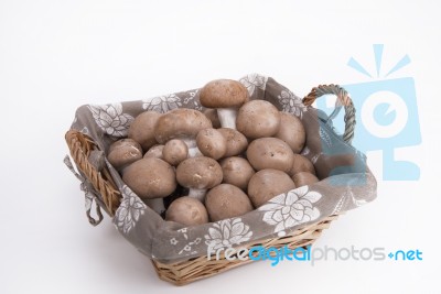 Mushroom Basket Mushrooms On A White Background Stock Photo