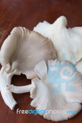 Mushroom On A Wooden Floor Stock Photo