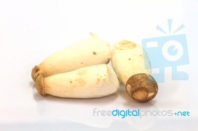 Mushroom On White Background Stock Photo