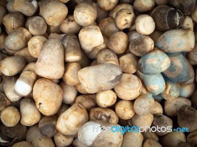 Mushrooms In The Market Stock Photo