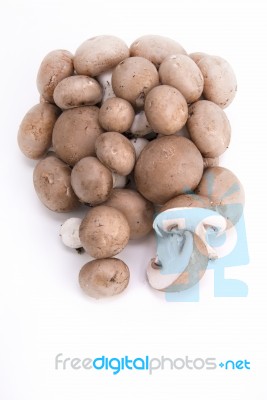 Mushrooms On A White Background Stock Photo