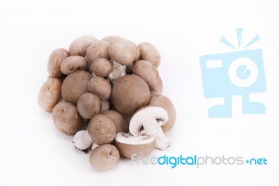 Mushrooms On A White Background Stock Photo