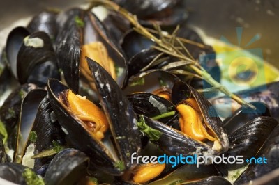 Mussels Stock Photo