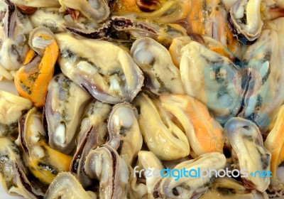 Mussels background Stock Photo