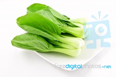 Mustard Greens Stock Photo