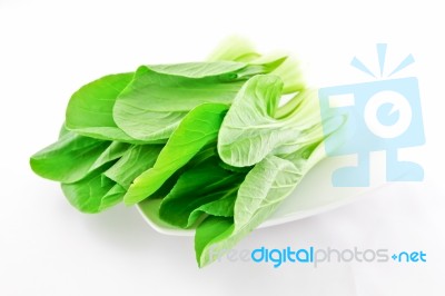 Mustard Greens Stock Photo