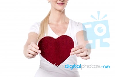 My Valentine Gift ! Stock Photo