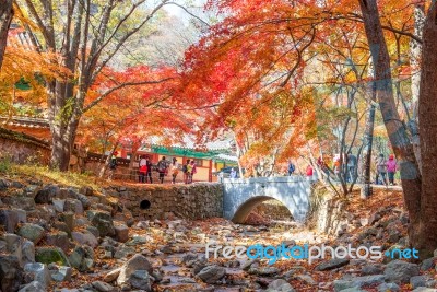 Naejangsan National Park In Autumn,south Korea Stock Photo