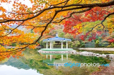 Naejangsan National Park In Autumn,south Korea Stock Photo