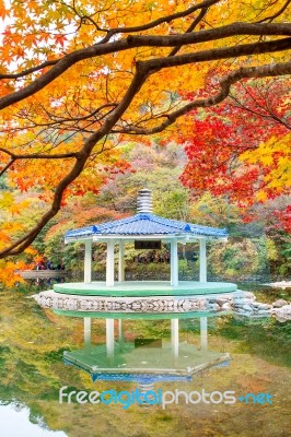 Naejangsan National Park In Autumn,south Korea Stock Photo