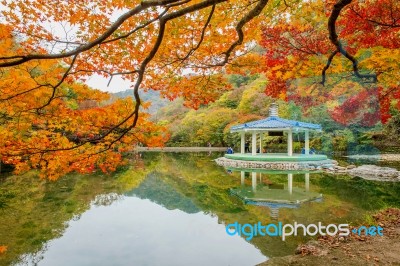 Naejangsan,korea - November 1: Tourists Taking Photos Of The Beautiful Scenery Around Naejangsan Park,south Korea During Autumn Season On November 1, 2015 Stock Photo